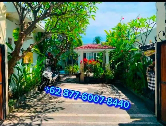 Wenhomann Villa Lovina
